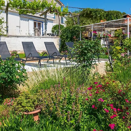 Stunning In With Wifi Apartament *